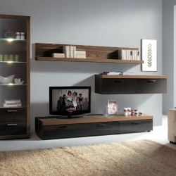 Гостиная цвета Венге - Индиан Эбони темный